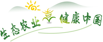 生态农业 健康中国