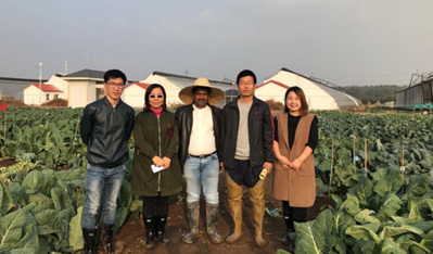 印度蔬菜客户访问天津天隆农业科技有限公司