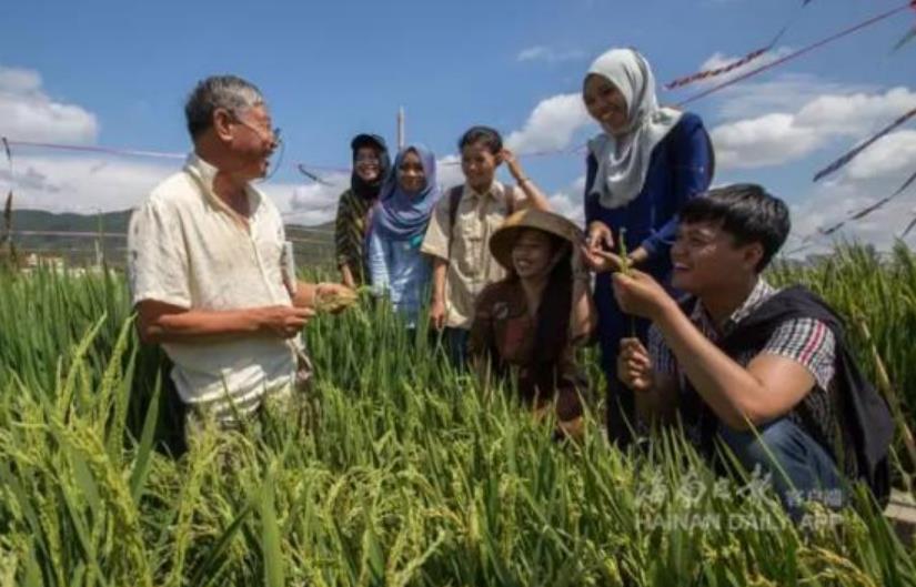 天津天隆农业科技有限公司技术总监华泽田向印度尼西亚梭罗大学学生教授杂交水稻知识