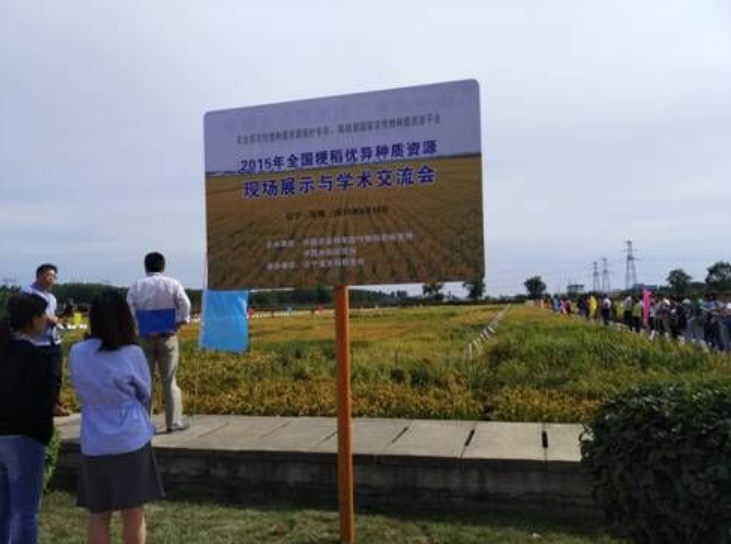 辽宁天隆种业科技有限公司参加全国粳稻优异种质资源现场展示与学术交流会