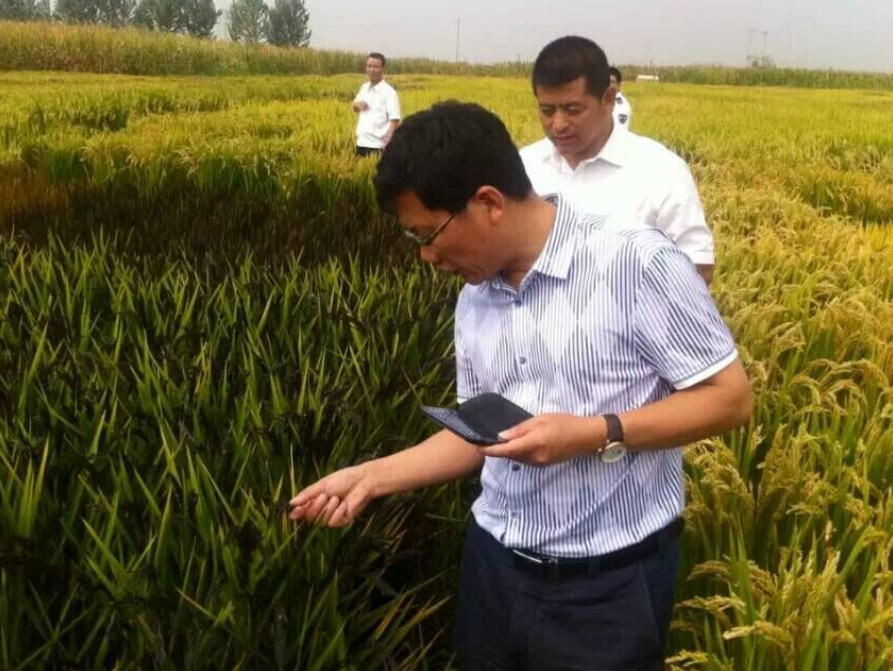 红菱镇党委书记刘晓东等一行到辽宁天隆农业科技有限公司参观调研