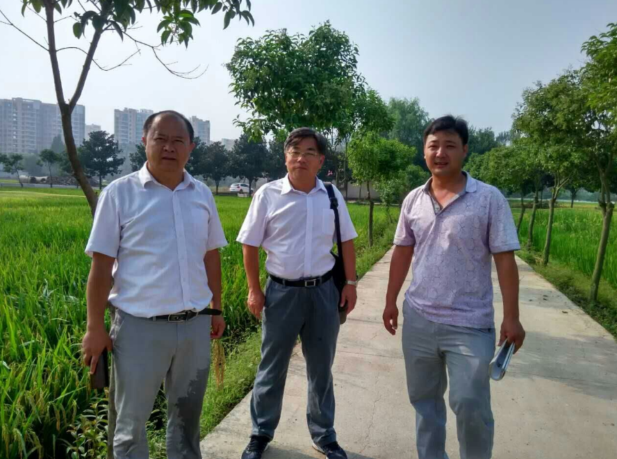 江苏天隆种业科技有限公司信阳工作站接待中国水稻研究所一行访问考察