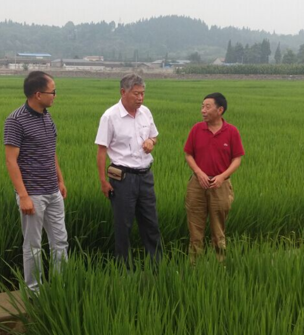 天隆公司代表团访问四川水稻所德阳基地