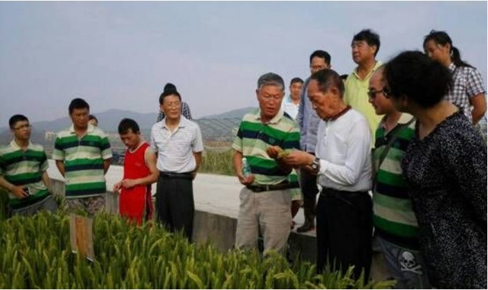 禾下乘凉梦，神州稻花香——暨袁隆平院士视察国家粳稻中心海南试验基地